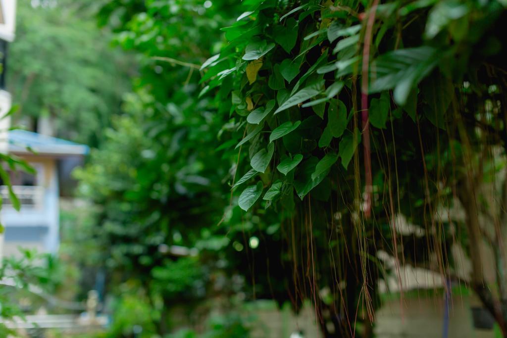 Rk Guesthouse Patong Exterior foto